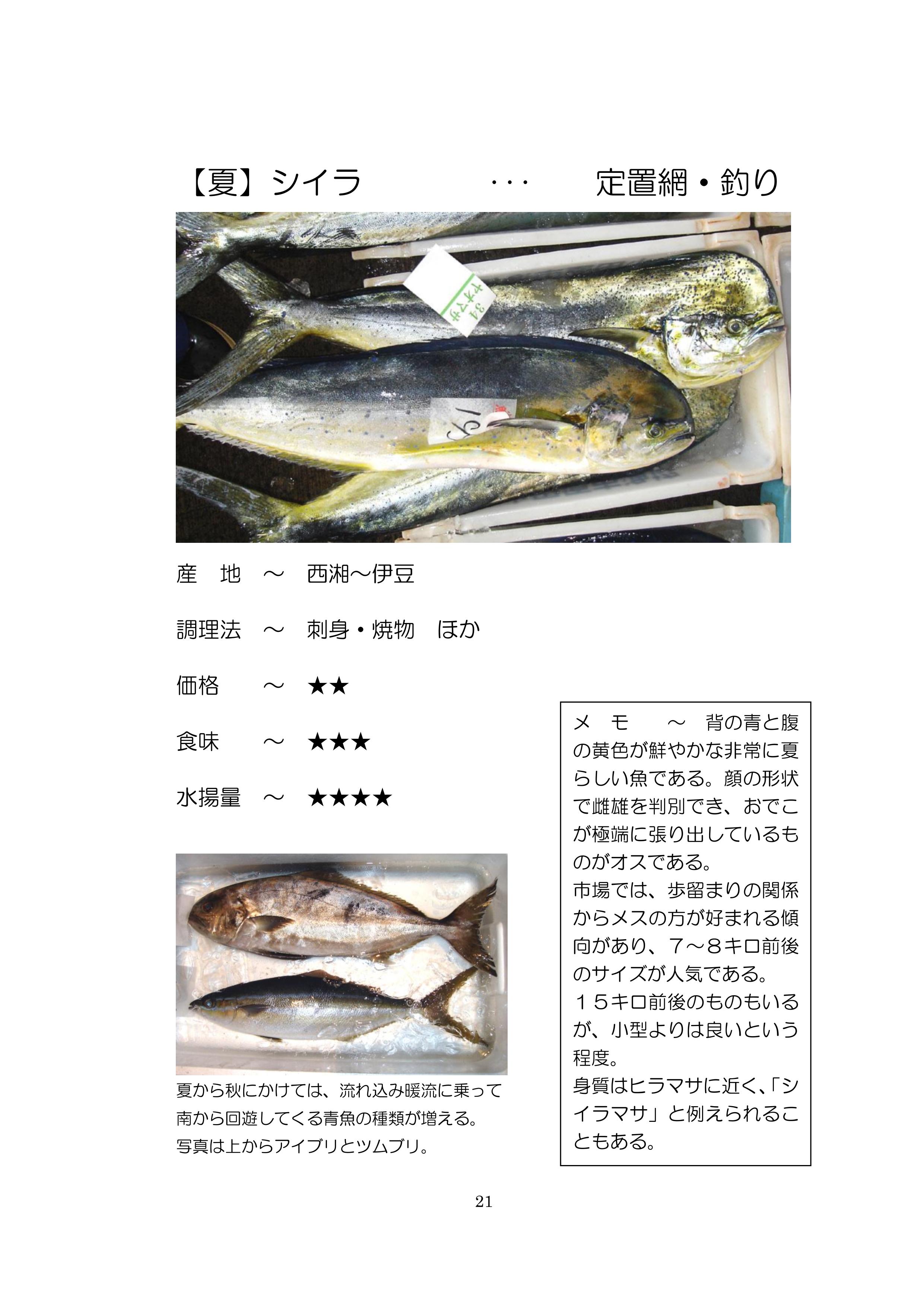 小田原地魚図鑑 小田原の地魚 Sp Ver