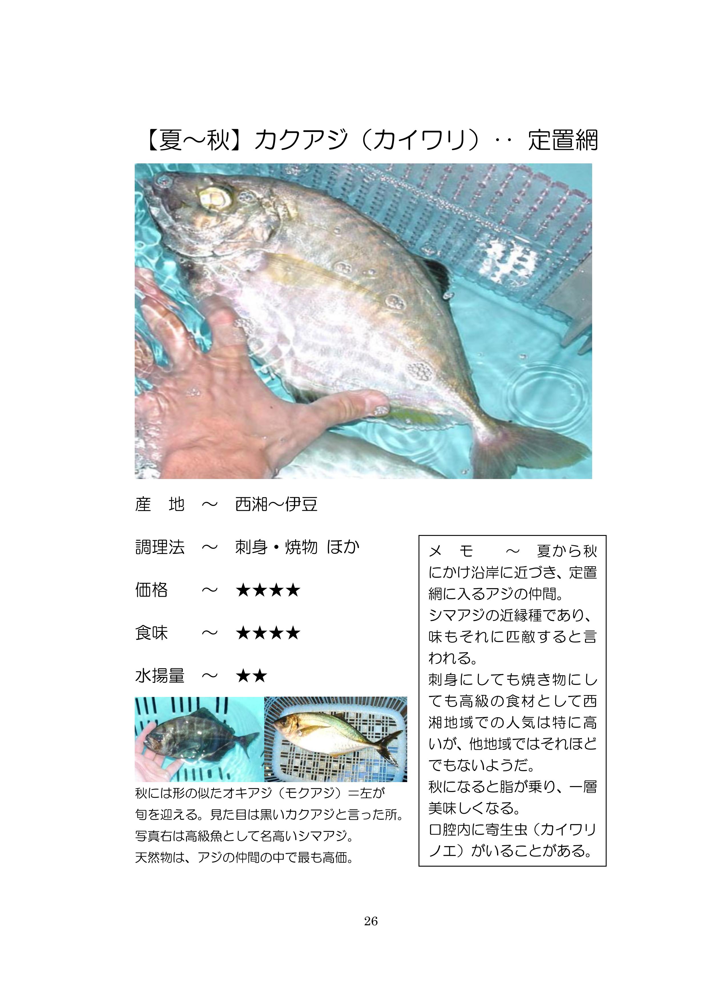 小田原地魚図鑑 小田原の地魚 Sp Ver