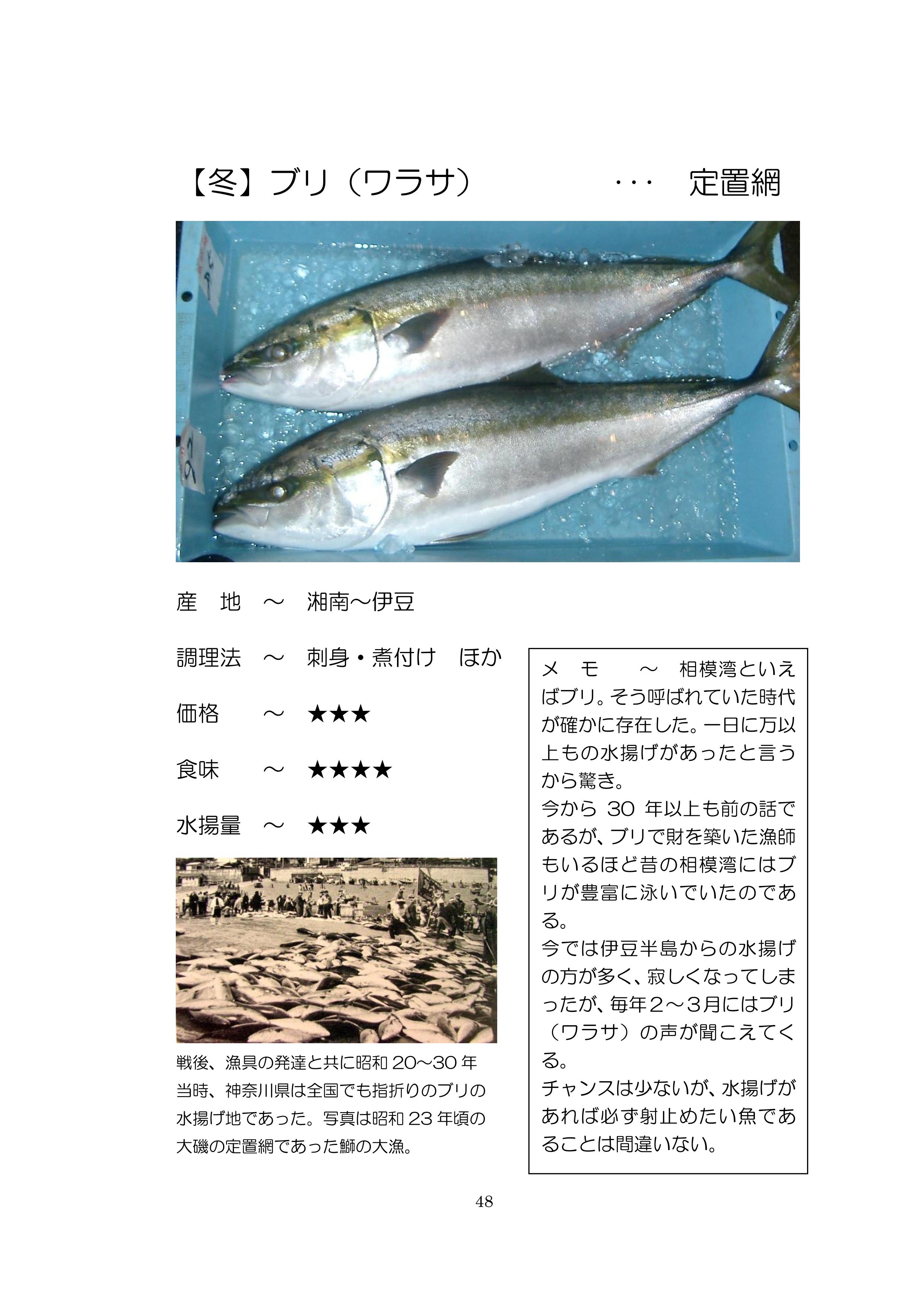 小田原地魚図鑑 小田原の地魚 Sp Ver